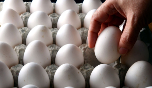 Eierverkoop was een succes